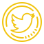 Twitter Link